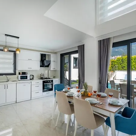 Modern Newly Built 4 Bedroom With Pool And Garden In Central Hisaronu